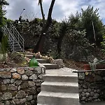 فيلة Cycas ماراتييا