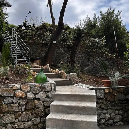 Villa Cycas Maratea